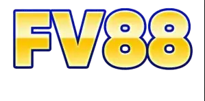dfv88.com